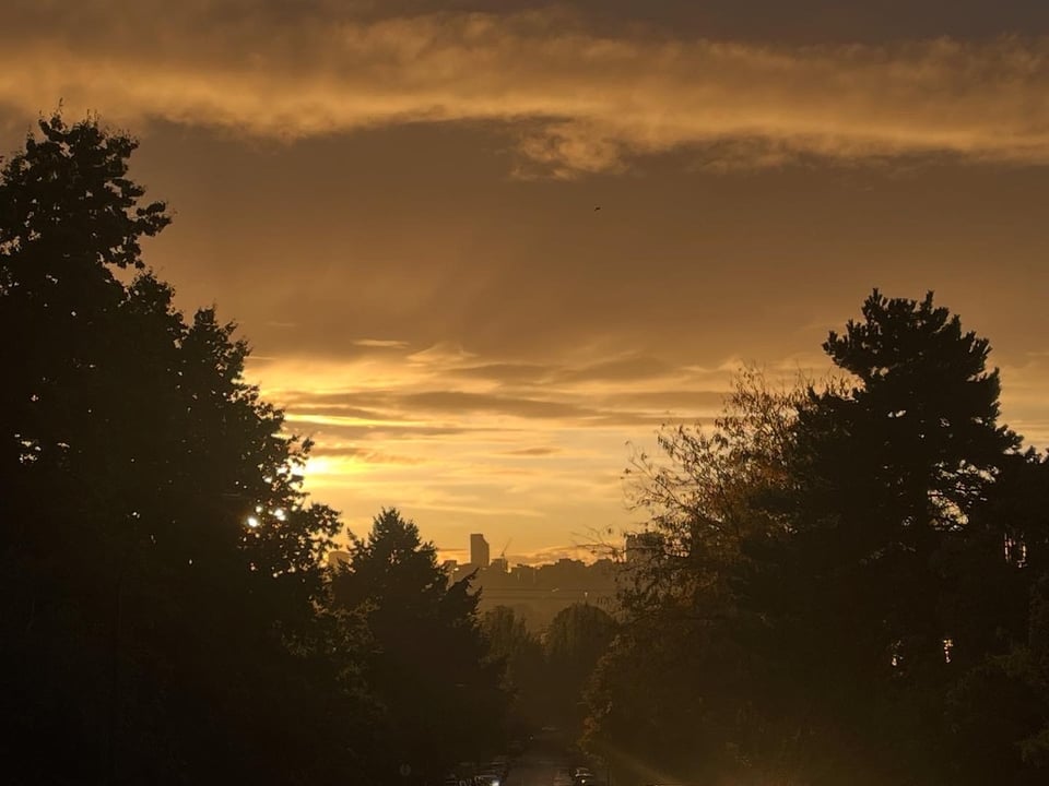 Dramatic cloudy sunset with a cityscape in the distance, framed by the silhouettes of trees in the foreground.