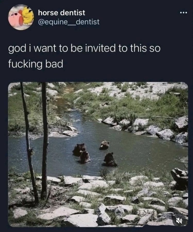 Twitter screenshot from @equine__dentist:
"god I want to be invited to this so fucking bad"
Below is a photo of 4 bears gathered in a stream, looking like they're having a little chat, only their heads above water.