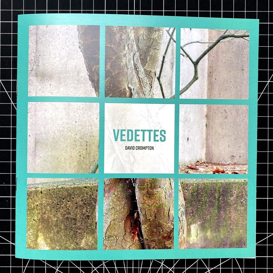 The front cover of the Vedettes zine on a black cutting mat, with a turquoise border framing a 3×3 grid of close-up photographs of tree bark, branches, and concrete. The centre cell carries the title "VEDETTES" with "DAVID CROMPTON" beneath it.