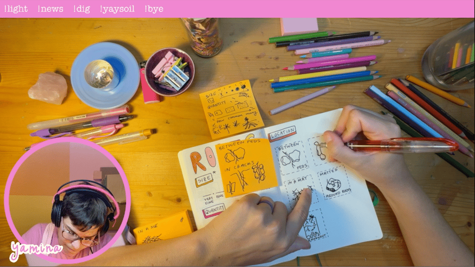 screenshot from Yamina's soil art live stream showing a colorful desktop with assorted pencils and an open sketchbook. Yamina is drawing roots.