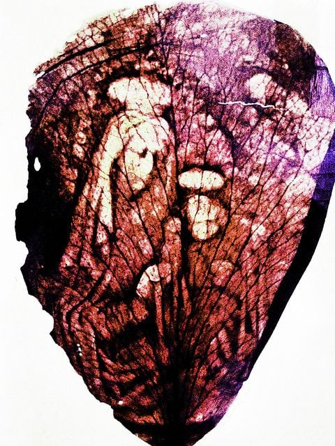 A near translucent red-purple flower petal that almost looks like a butterfly wing, with a clear image of Mary on the left side.