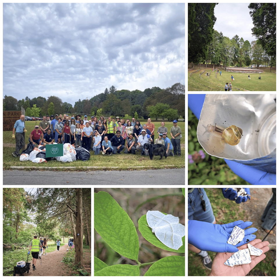 Some photos from our event at Thornden Park.