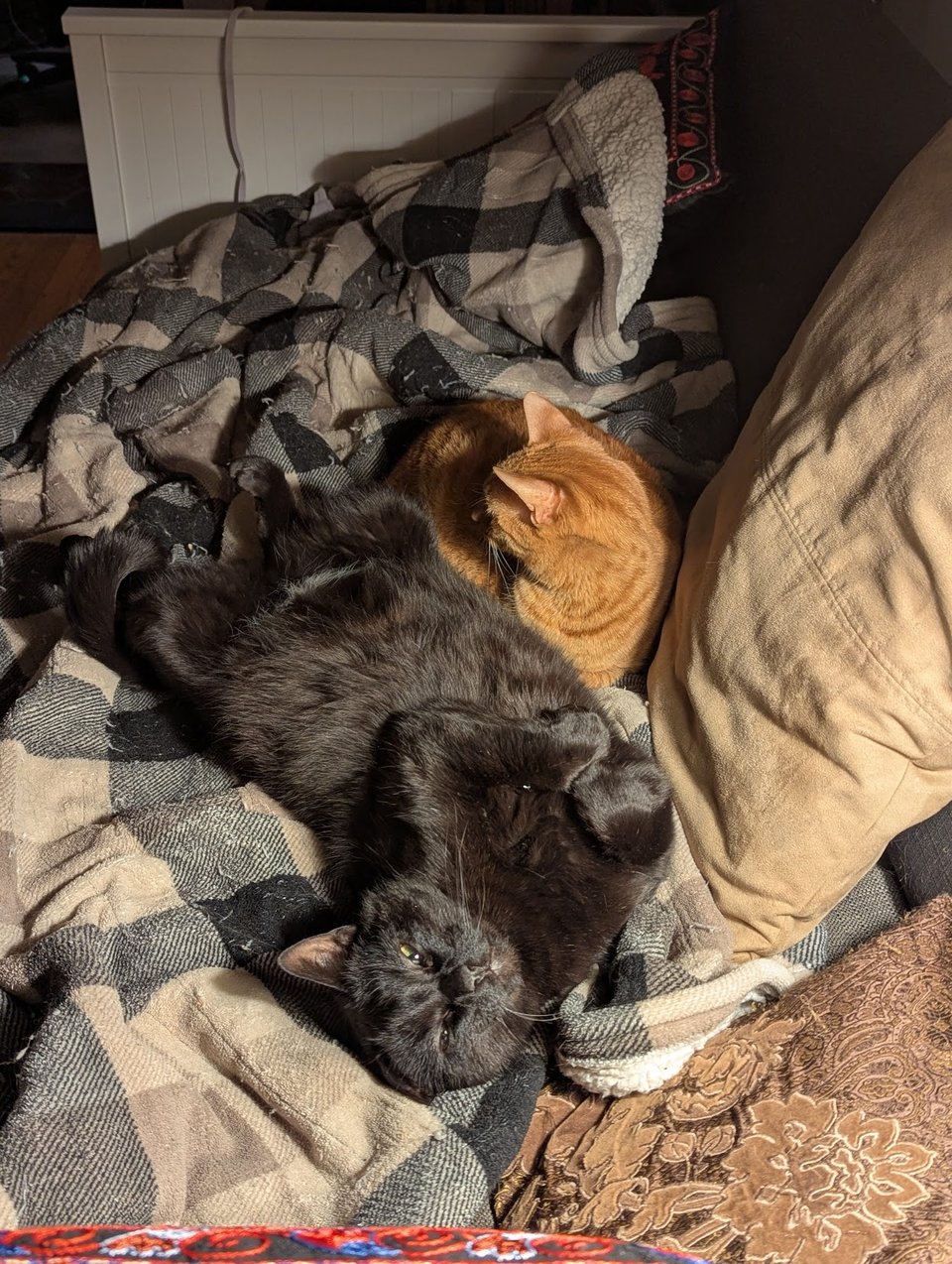 friendship with and without electricity