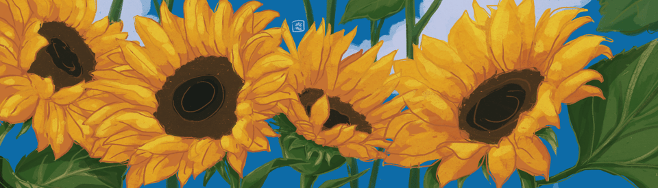 A wide illustration of bright sunflowers with a blue sunny sky in the background.