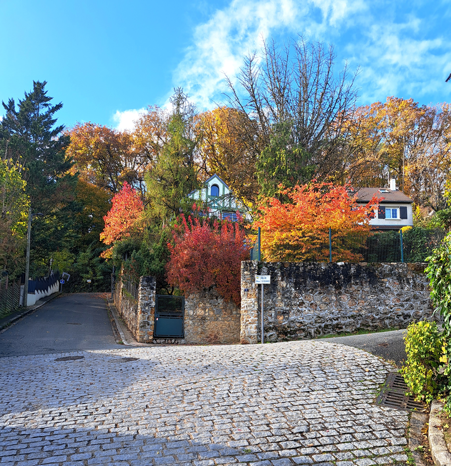 This Sunday's hangouts