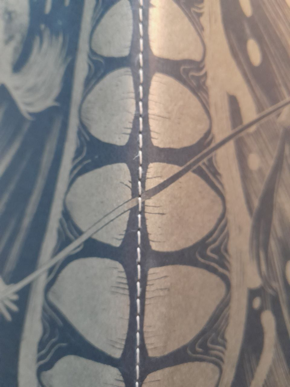Dos de la couverture de La Manticore