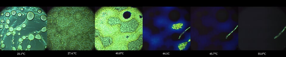 a heating timeline of six images, showing a blue-green liquid and labelled with temperature