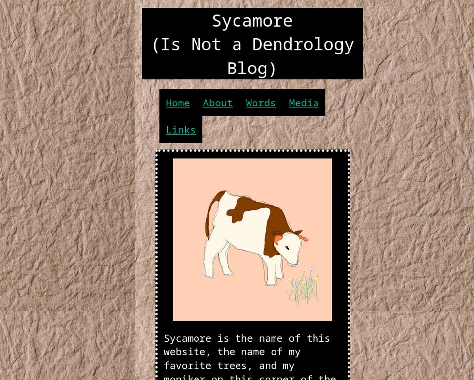 screenshot of a retro-looking website home page