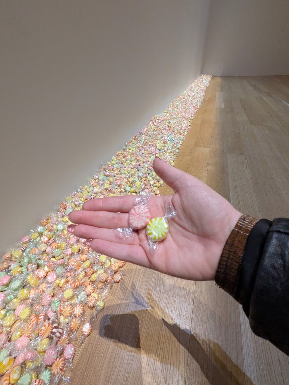 Meredith's hand holding pink and yellow candies, with the long pile of candies stretched out on the floor in the background.