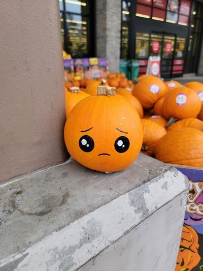 A small pumpkin with big eyes and a slight frown painted on it