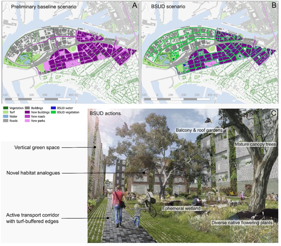 Image showing how to add green corridors and bridges to a city in which they were previously separated.