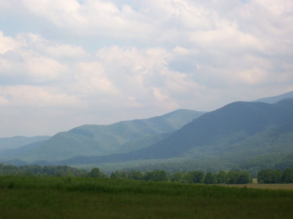 Update - March 20, 2026