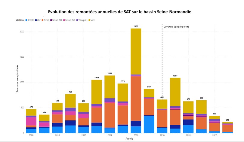 Les comptages de saumon dans le bassin Seine-Normandie diminuent depuis au moins dix ans.