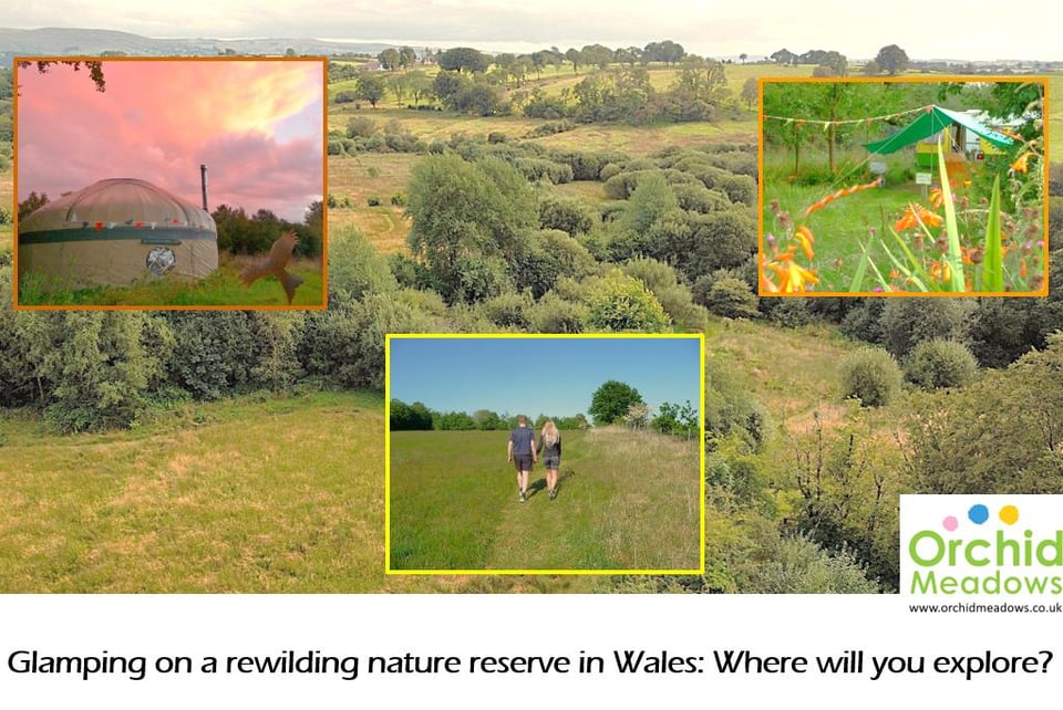 Montage of photos of glaming site, showing tents and aerial view of fields and wood, with text 'Glamping on a rewilding nature reserve in Wales: Where will you explore?