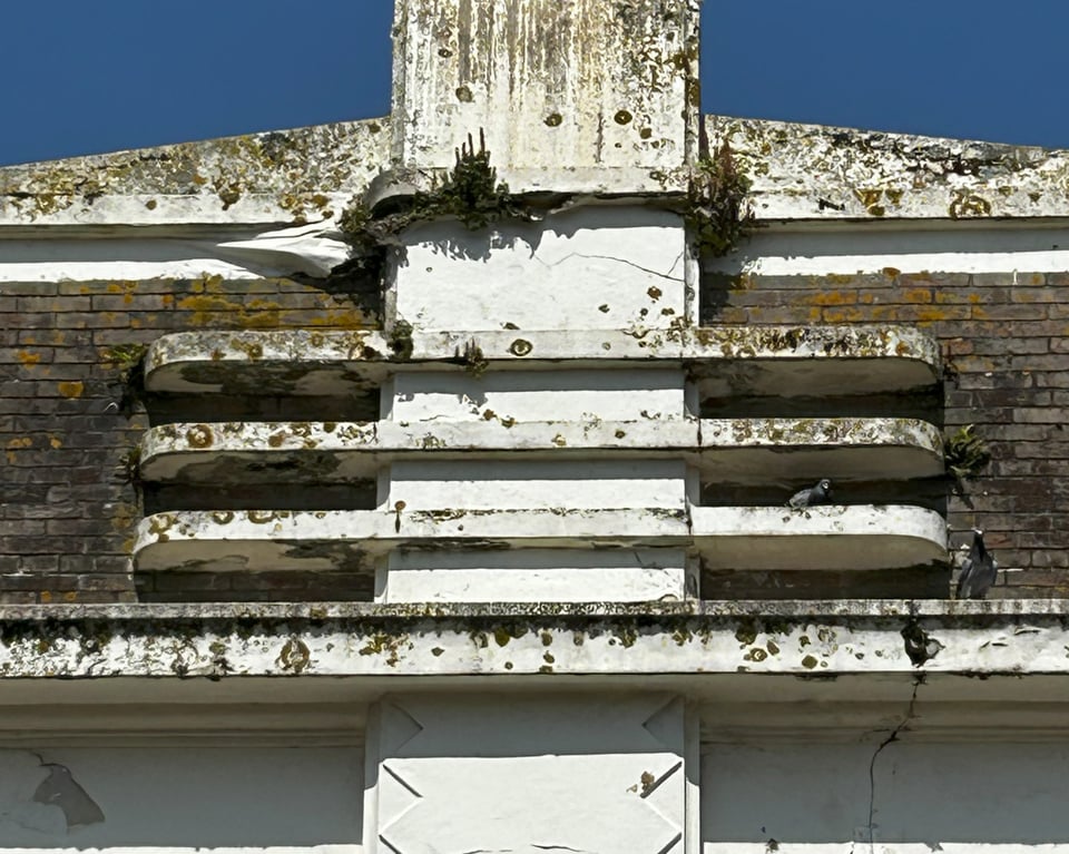 A detail of the moderne detailing on the Woolworth building. The white render is discoloured and cracking, with ferns growing in it. At one point, the render is starting to fall away. A couple of pigeons are sat on it.
