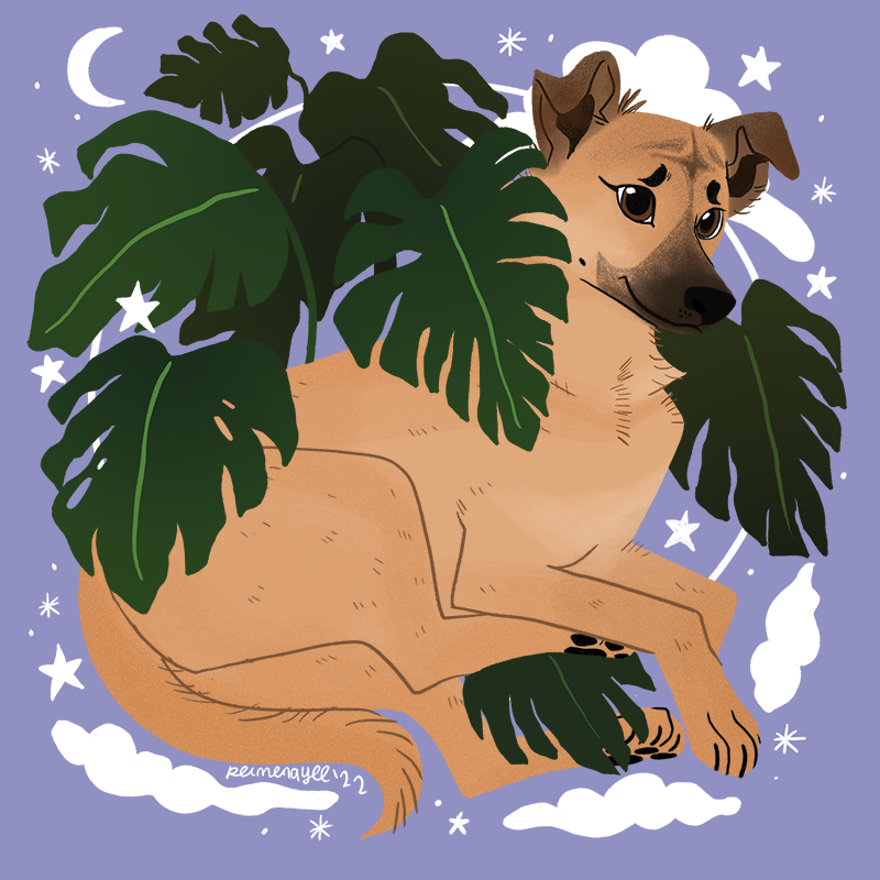 Kona.png