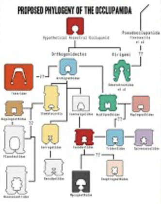 🤪 Wacky Wednesday for 2025-03-05