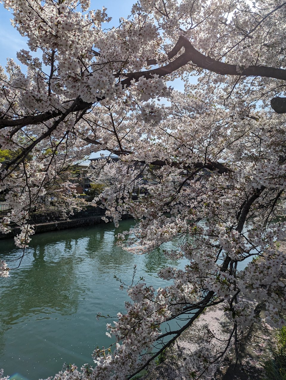 235 - life update 😺