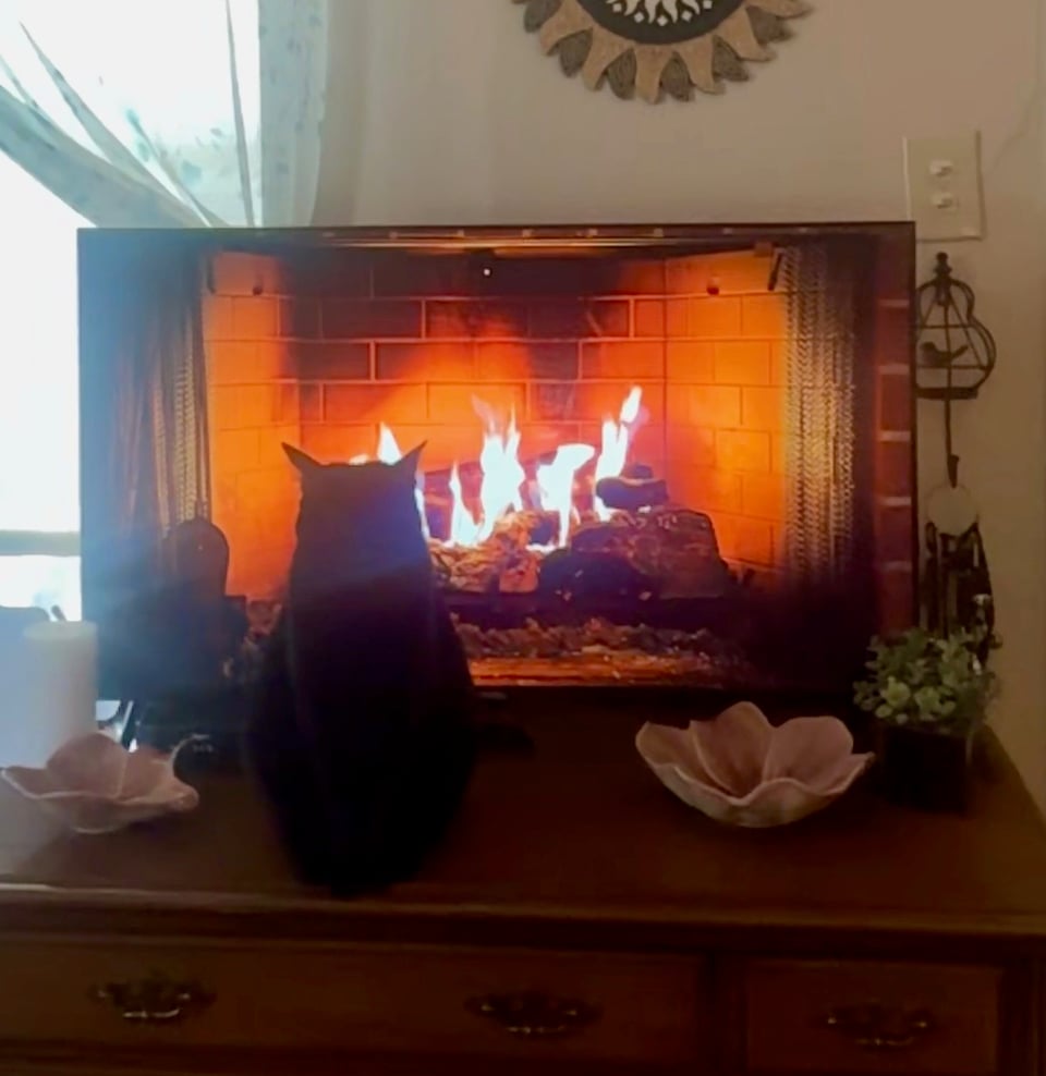 Closeup of Morpheus sitting in front of the virtual fireplace with his back to it, with the decorative flower bowls and plant also visible  