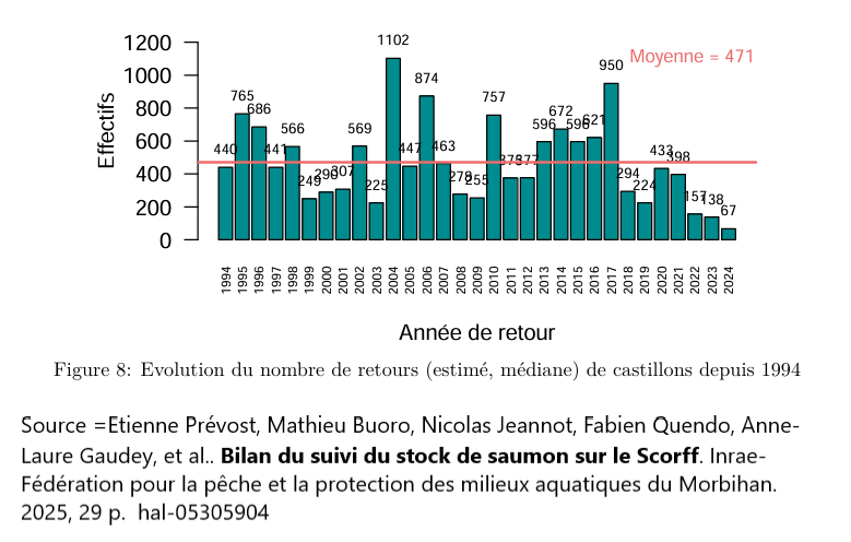 Évolution du nombre de retour de saumons de 1 hiver de mer dans la rivière Scorff en Bretagne. « Le pronostic pour les quelques années à venir est pessimiste car, le flux de juvéniles dévalant en 2024 (retours d’adultes 2025 2026) est faible, la production de tacons 0+ 2024 (retours d’adultes 2026-2027) est passable et la dépose d’œufs 2024 (retour d’adultes 2027-2029) est la plus faible jamais enregistrée. La population de saumon du Scorff est ainsi passée en quelques années d’un statut de conservation très satisfaisant (jusqu’à la fin des années 2010) à un statut précaire. »
Citation tirée de Etienne Prévost, Mathieu Buoro, Nicolas Jeannot, Fabien Quendo, Anne-Laure Gaudey, et al.. Bilan du suivi du stock de saumon sur le Scorff. Inrae- Fédération pour la pêche et la protection des milieux aquatiques du Morbihan. 2025, 29 p. ⟨hal-05305904v2⟩
