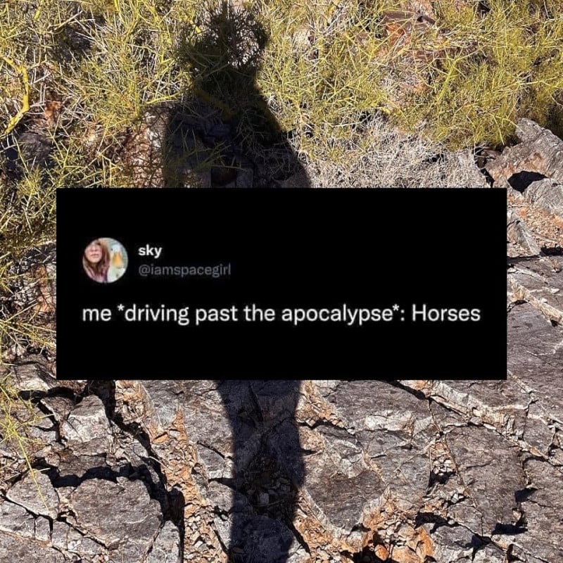 Tweet from @iamspacegirl over a backdrop photo of a person's shadow against some stones and grass. Text of the tweet reads: me *driving past the apocalypse*: Horses