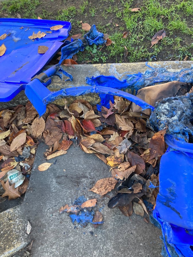 A recycling bin, half melted, stuck to many leaves