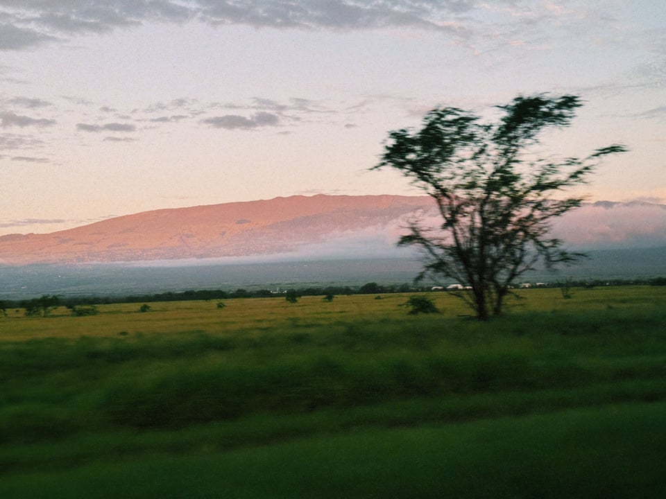The passing roadside, green fields, and Haleakala aglow in evening light in the distance