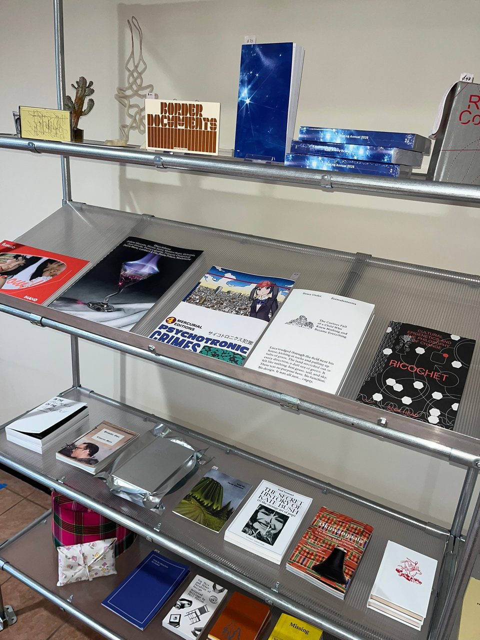 Mobile, adjustable metal shelves made out of hand-cut EMT conduit, polycarbonate sheets, and connectors (rather than welding). The books are displayed side-by-side and cover-out.