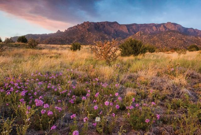 Spring in new Mexico, courtesy of the New Mexico Magazine