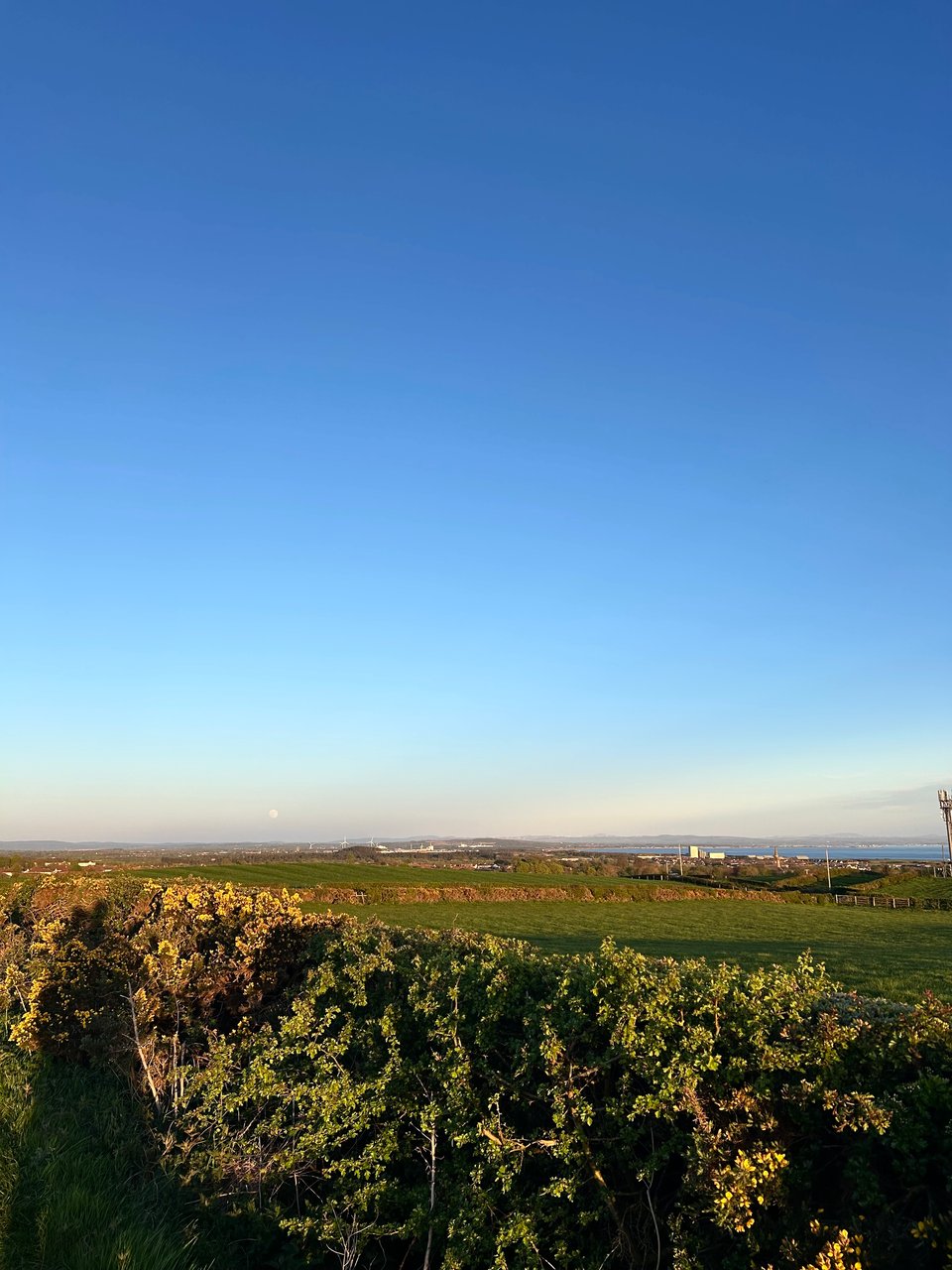 A very distant full moon in a blue sky over gorse hedges and green fields. Image by Rowan Ambrose.