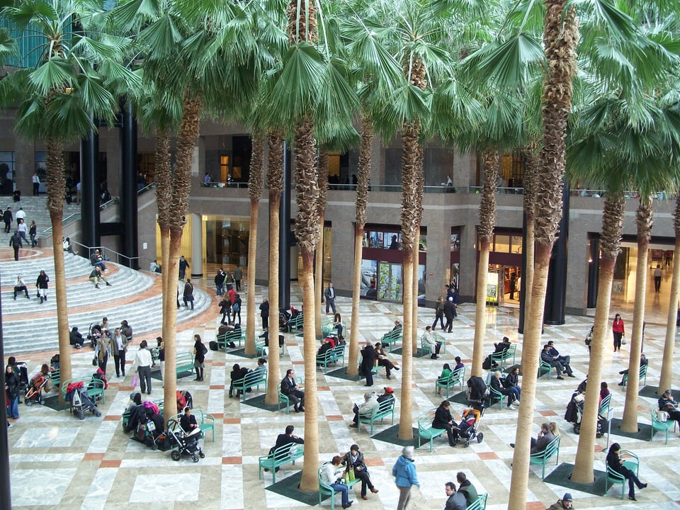 Green metal perforated benches below lines of towering palm trees inside a luxury shopping center.