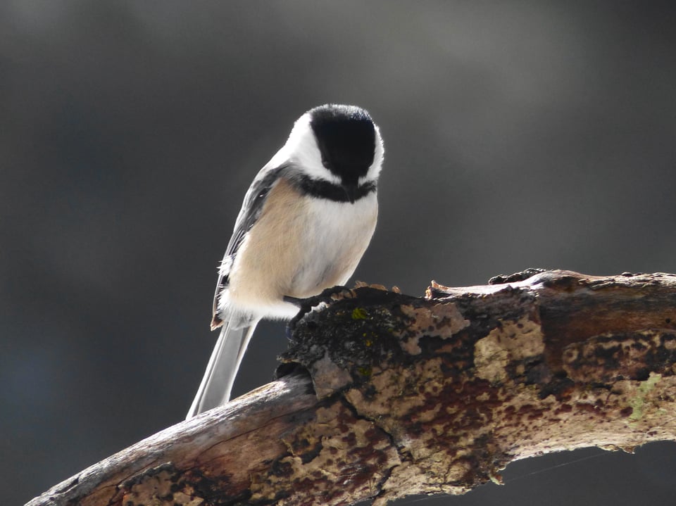 Change Isn't Always Linear