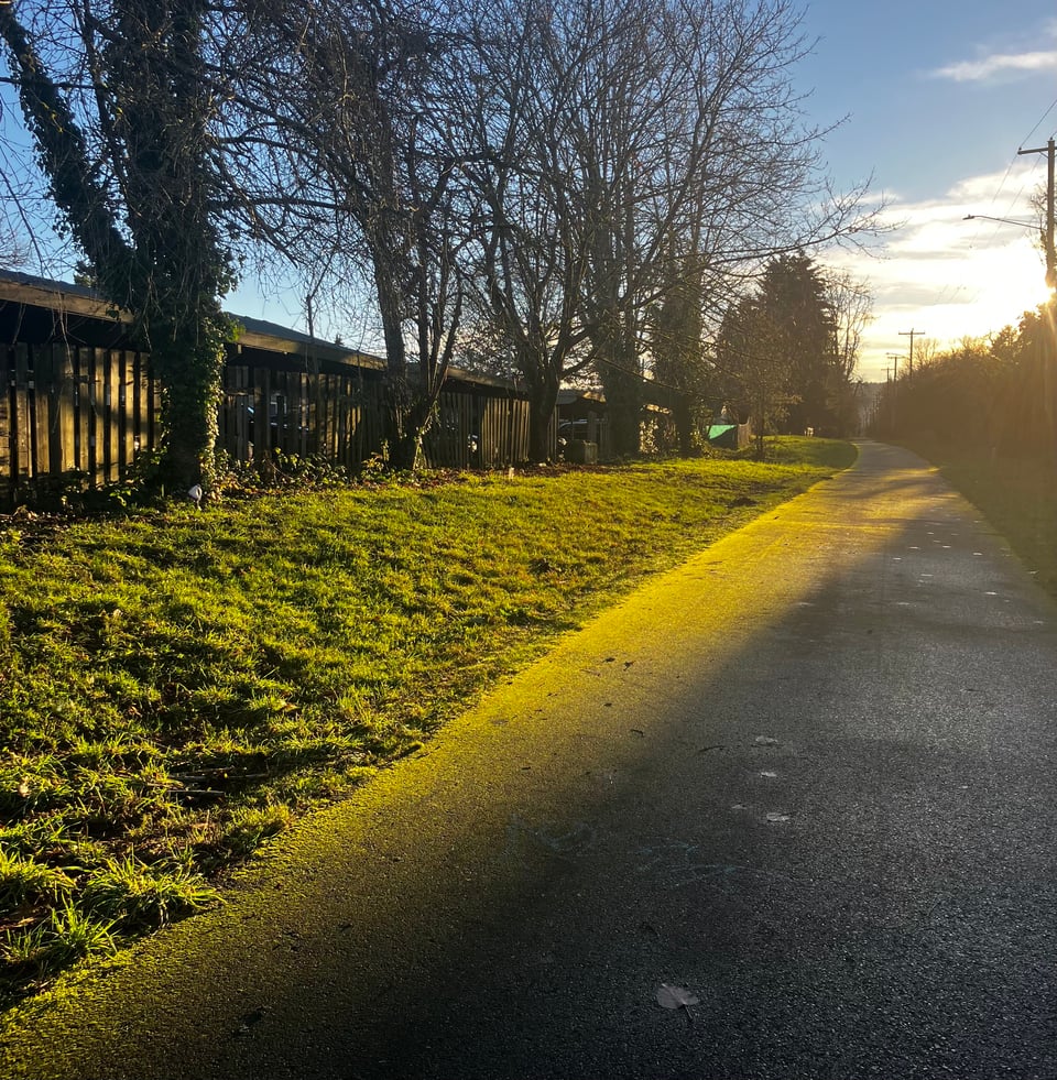 A paved walkway in the Pacific Northwest at sunset with the waning rays of the sun highlighting the green moss growing on the path