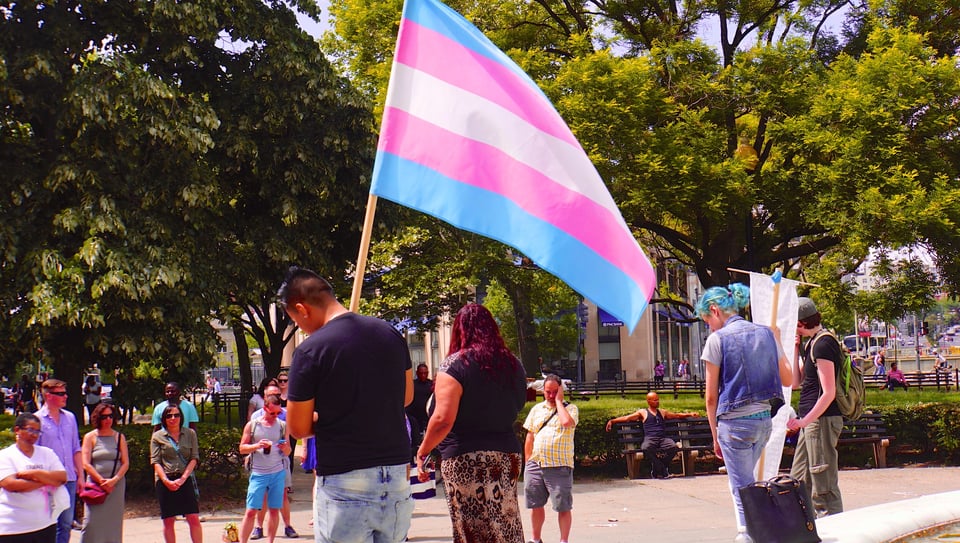 A photo from the Trans Solidarity March in DC, by Ted Eytan. Someone holding up a trans flag