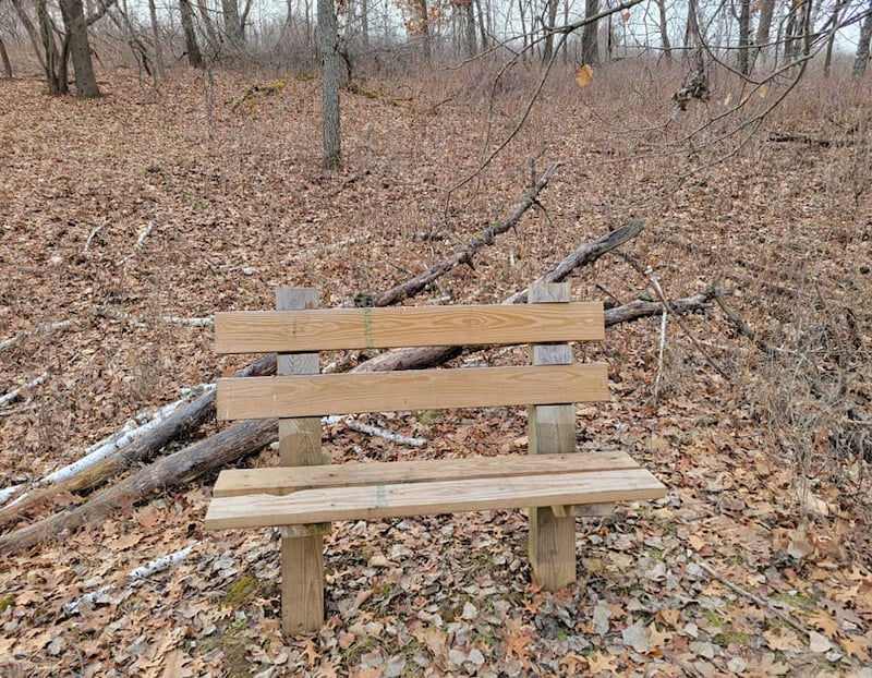 Here’s a primo spot to mind your Umwelt from—a nifty newish bench at the end of the little dead-end path that heads down toward a wee pond from the trail that heads up the hill by the park’s storage building toward the campground. / Photo by Pamela Miller