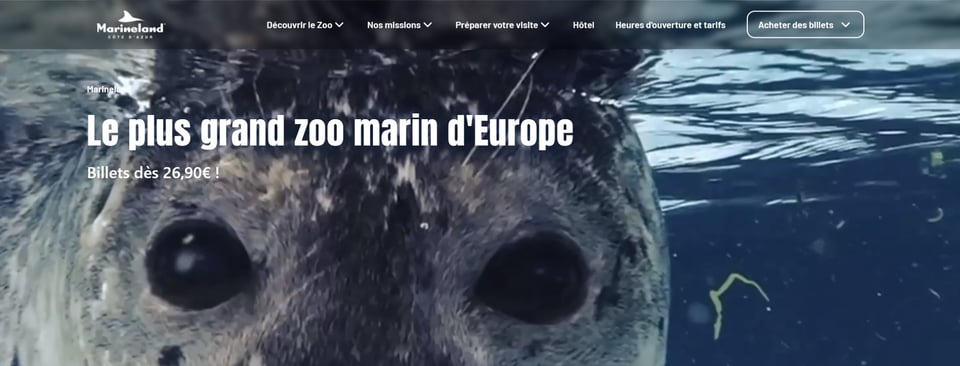 Le plus grand zoo marin d'Europe respecte-t-il la législation européenne ?