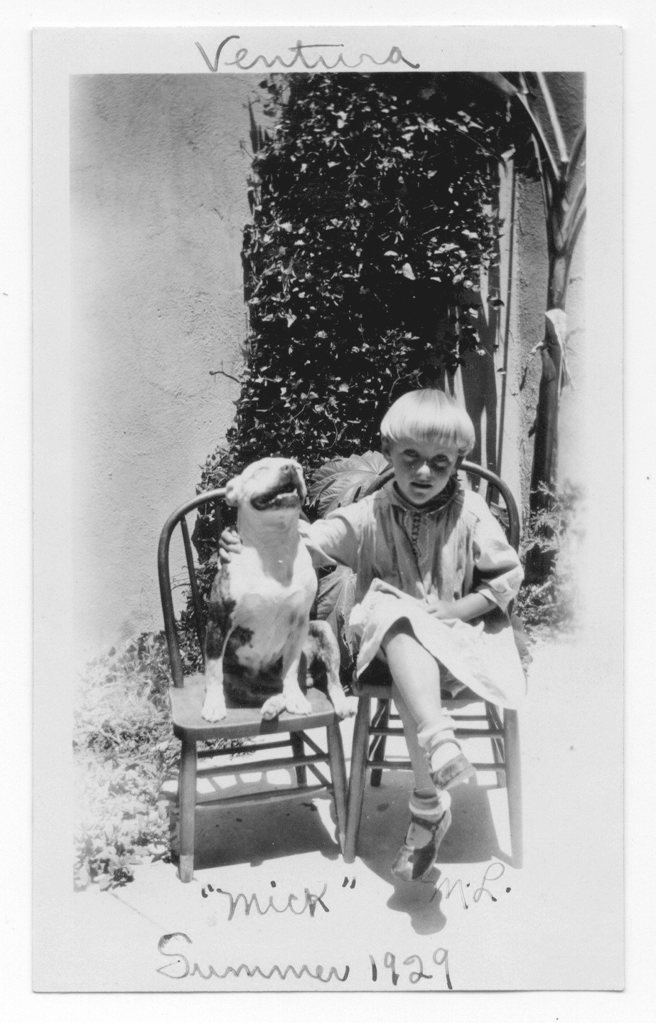 A little girl sitting on a chair with a dog