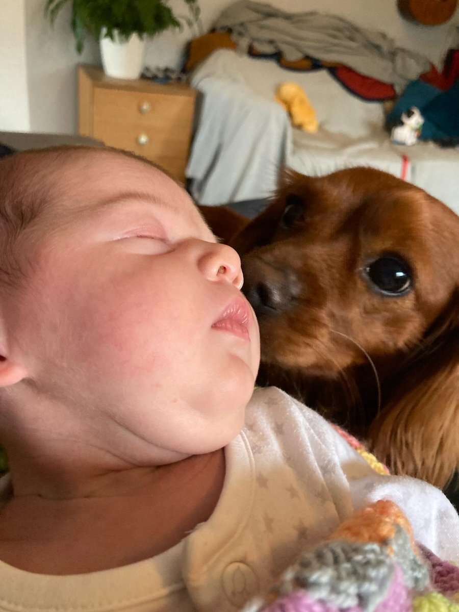 Radio looks on adoringly at a small baby.