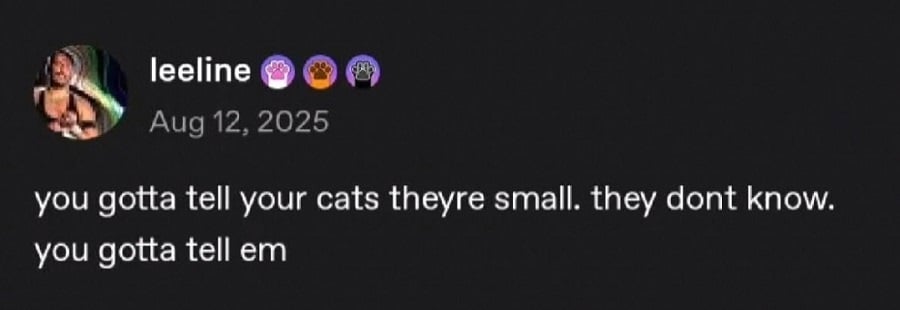 tumblr screenshot from leeline:

you gotta tell your cats theyre small. they dont know. you gotta tell em
