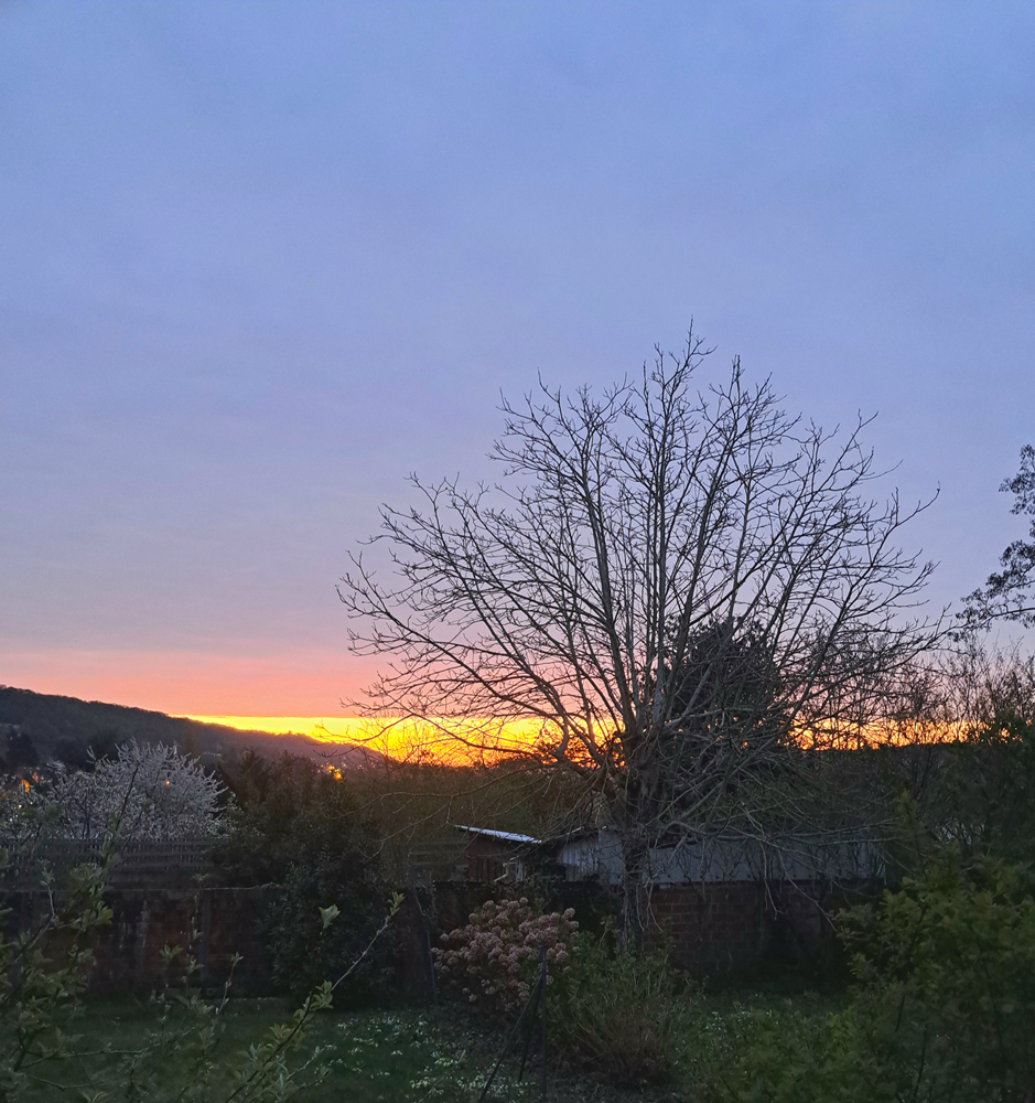 This Sunday's hangouts