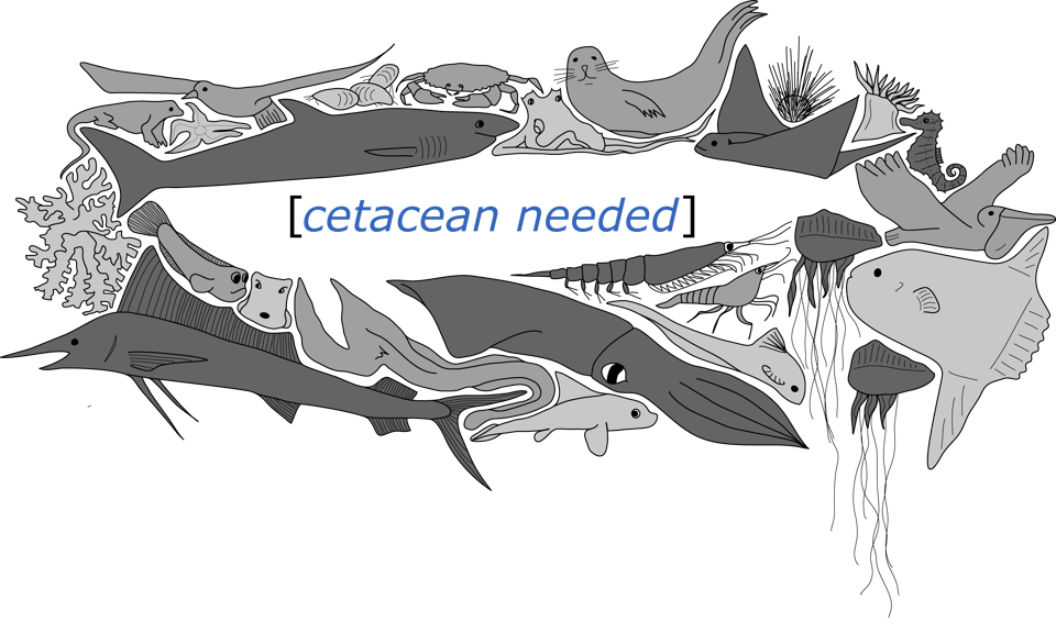 Octabost The OctoPost: Bats and Jellies • Buttondown