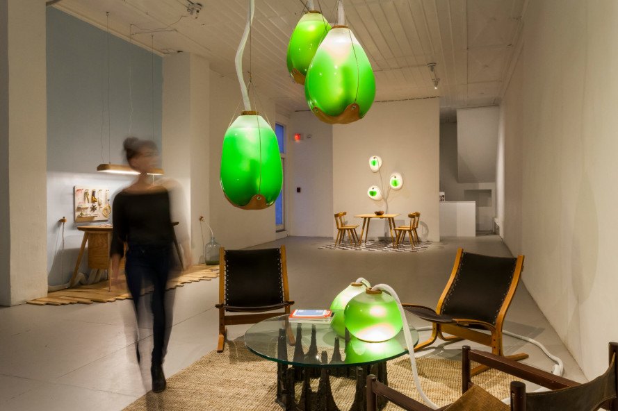 A human and some micro-algae embedded light bulbs in a living space