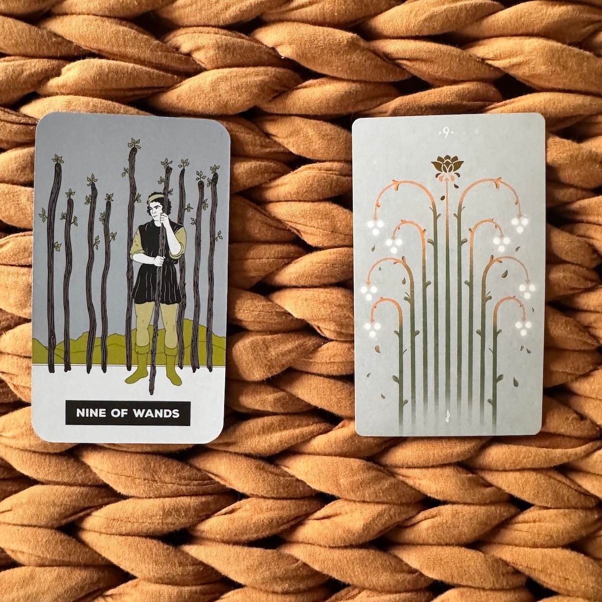 Two tarot cards, each representing the Nine of Wands, set against a brown woven background. The card on the left depicts a person standing with a wand, in front of a line of nine wands planted in the ground, and the card on the right displays nine arching branches topped with white flowers or orbs.