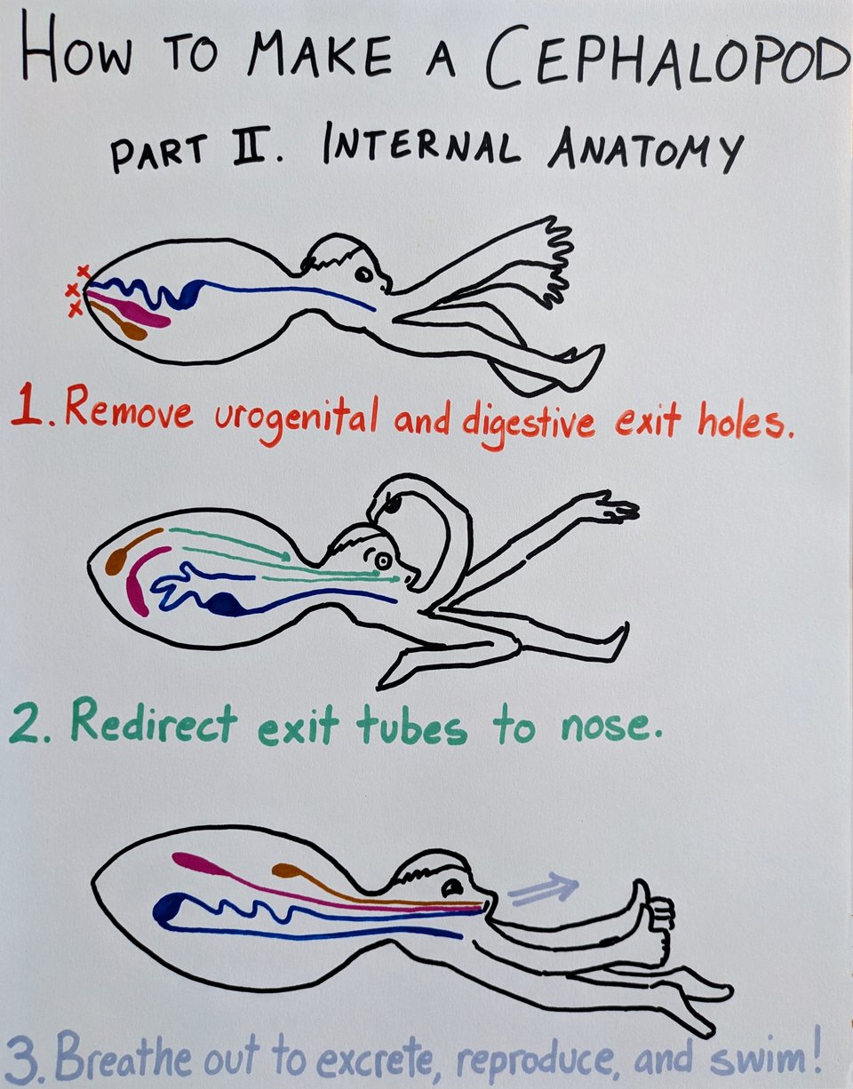The OctoPost: Robots, Jiu Jitsu Squids, and DIY Cephalopods
