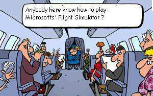 Microsoft Flight Simulator Joke