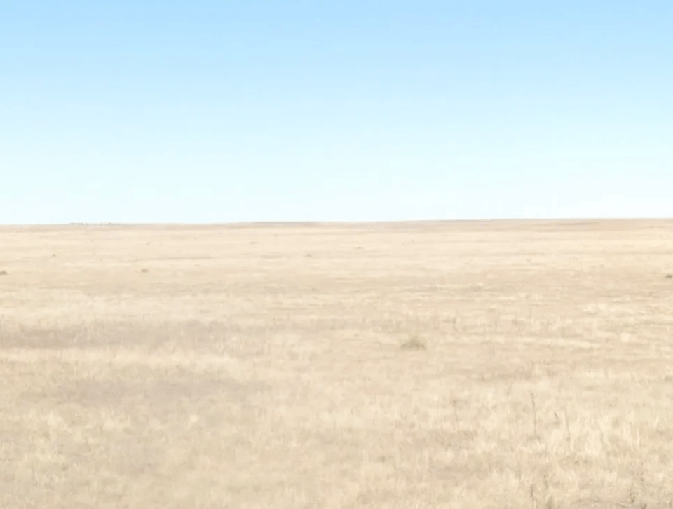 A slightly blurry, low-pixel photo of a featureless field filled with short brown grass. The sky is cloudless and light blue above it.