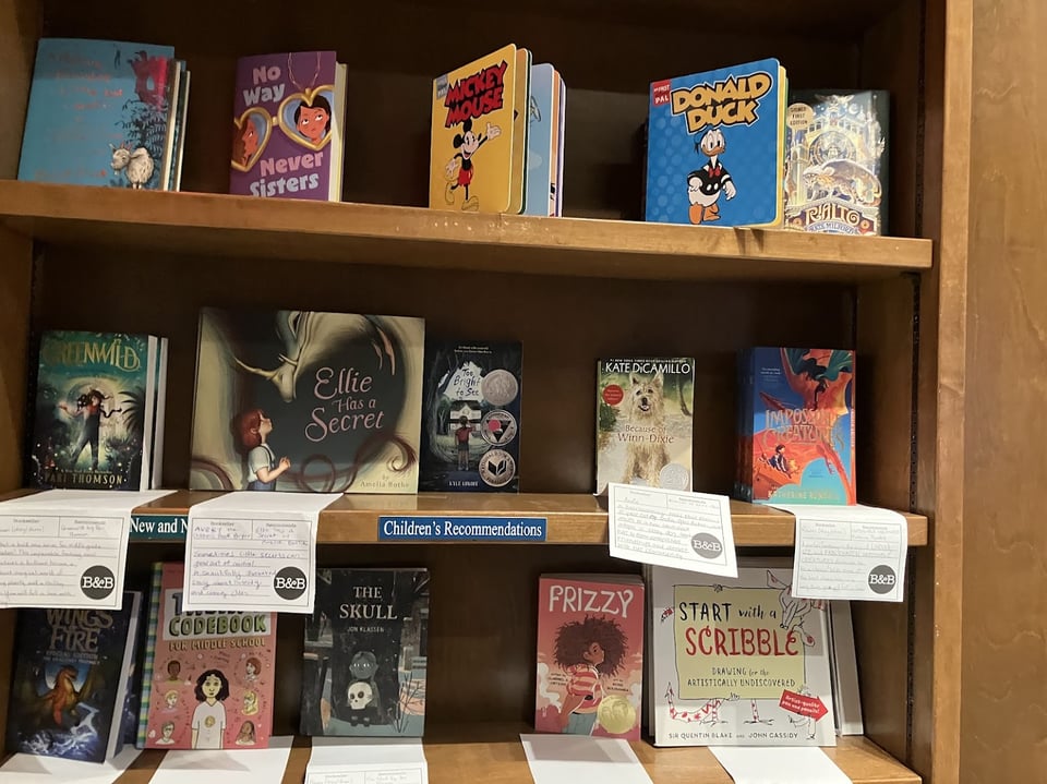 Three rows of a wooden shelf at books and books laden with five recommended books on ach of the bottom two rows.  Children's literature includes The Skull by Jon Klassen, Frizzy by Claribel Ortega (pink color), Start with A Scribble, Wings of Fire, and Ellie and the Secret.