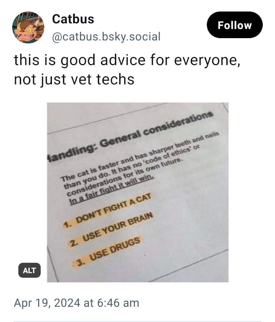 Bluesky post from Catbus: this is good advice for everyone, not just vet techs. Beneath is a photo of some vet training materials. Highlighted are the lines: 1. DON'T FIGHT A CAT // 2. USE YOUR BRAIN // 3. USE DRUGS