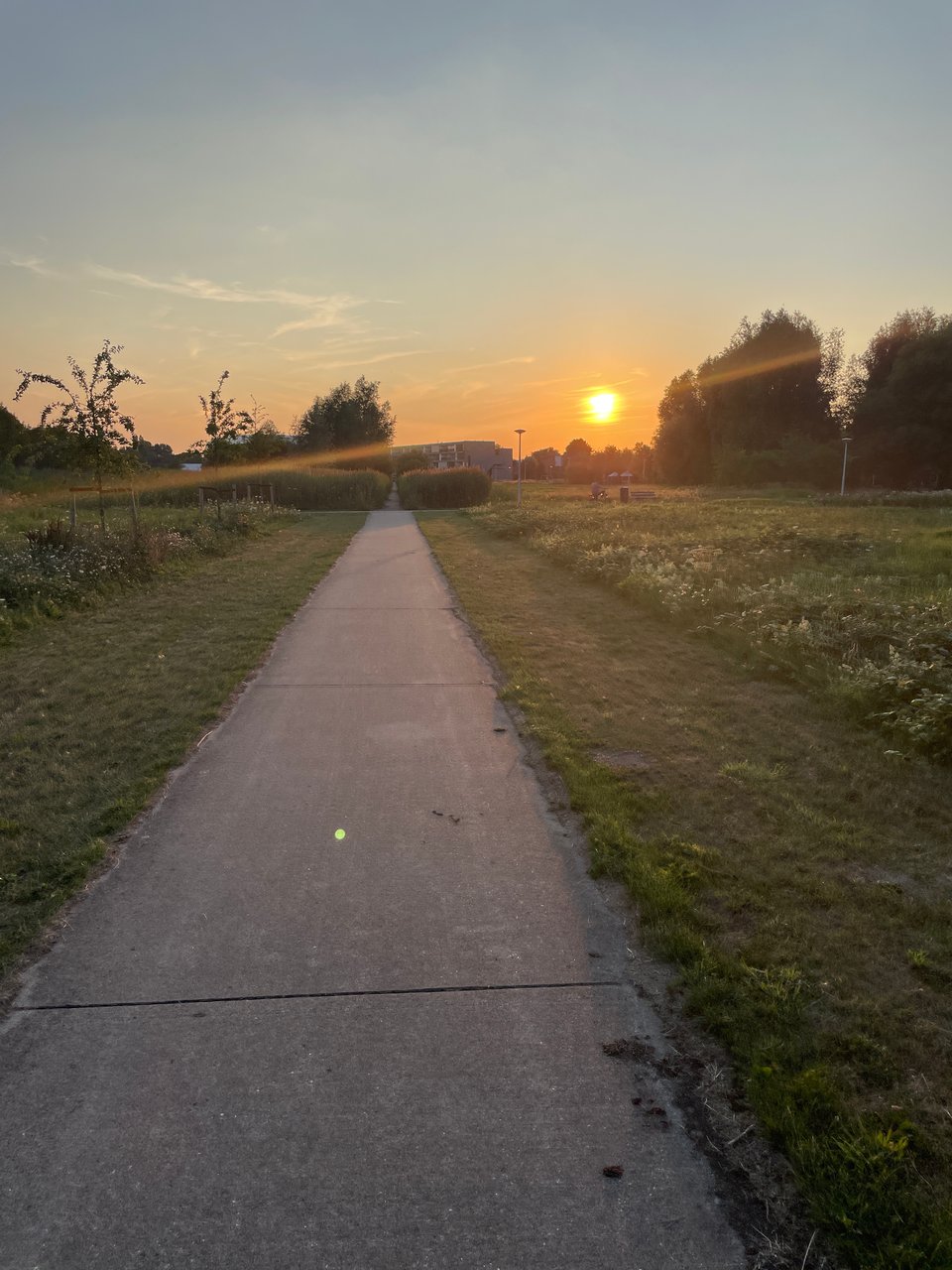 A cement path cuts through a park. On the horizon the orange sun is almost setting.