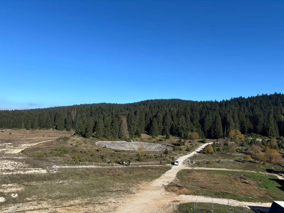 Distillations/Constellations #9: liberatory (digital) movement building